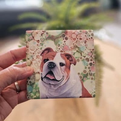 English Bulldog Coaster