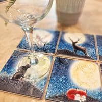 Fox Coaster