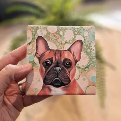 French Bulldog Coaster