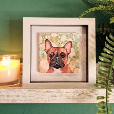 French Bulldog Dog  Small Picture