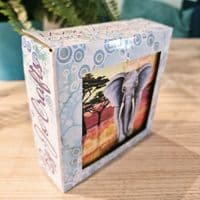 Giraffe Coaster