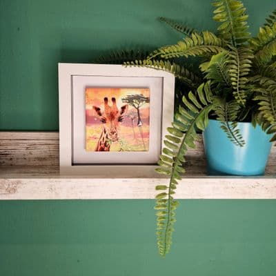 Giraffe Small Picture