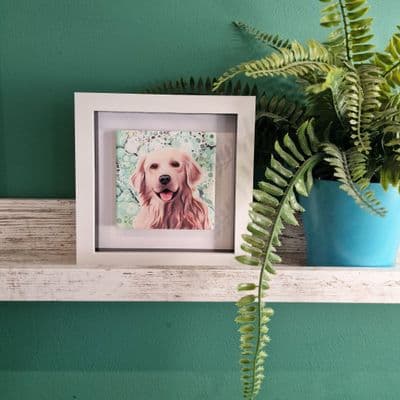 Golden Retriever Dog Small Picture