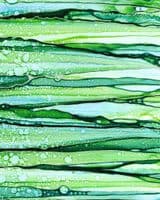 Green Horizontal Splashback