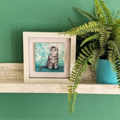 Grey Cat Small Picture