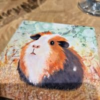 Guinea Pig Coaster