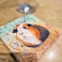 Guinea Pig Coaster