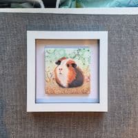 Guinea Pig  Small Picture