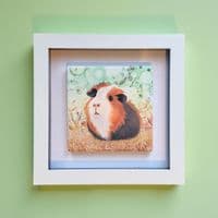 Guinea Pig  Small Picture
