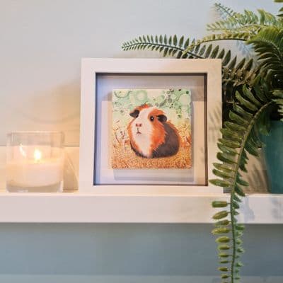 Guinea Pig  Small Picture