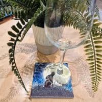 Hare Coaster