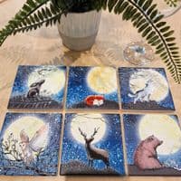 Hare Coaster