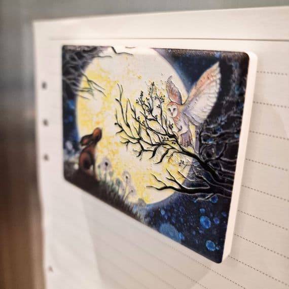 Hare & Owl Stargazing Magnet
