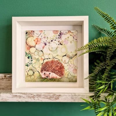 Hedgehog Large Picture