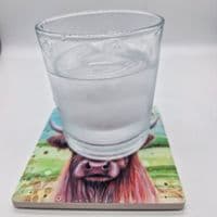 Highland Cow Coaster
