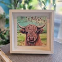 Highland Cow Large Picture