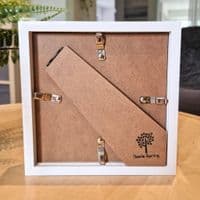 Highland Cow Small Picture