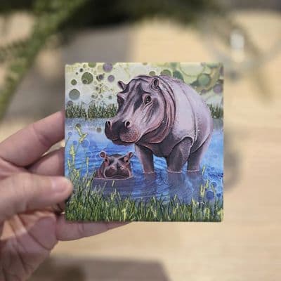 Hippo Coaster