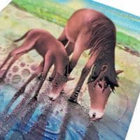 Horses Coaster