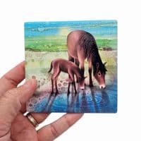 Horses Coaster