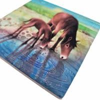 Horses Coaster