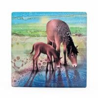 Horses Coaster