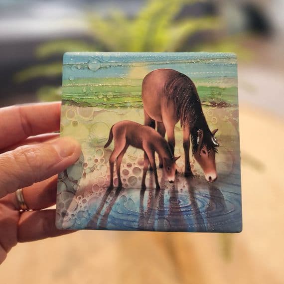 Horses Coaster
