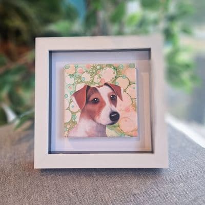 Jack Russel Dog  Small Picture