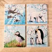 Killer Whale Coaster