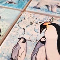 Killer Whale Coaster