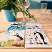 Killer Whale Coaster