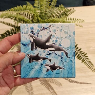 Killer Whale Coaster