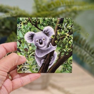 Koala Coaster
