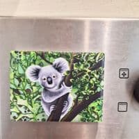 Koala Magnet