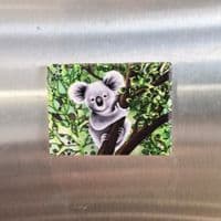 Koala Magnet