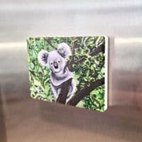 Koala Magnet
