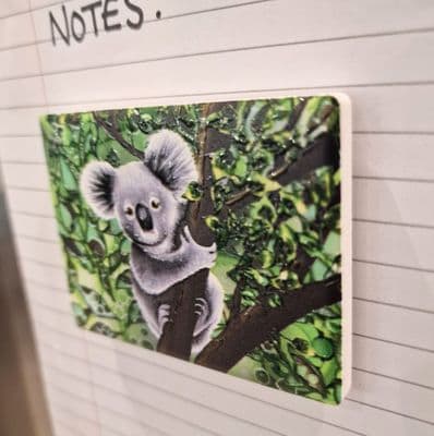 Koala Magnet
