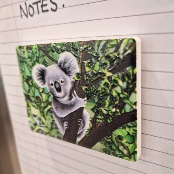 Koala Magnet