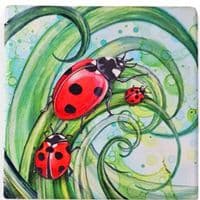 Ladybird Coaster