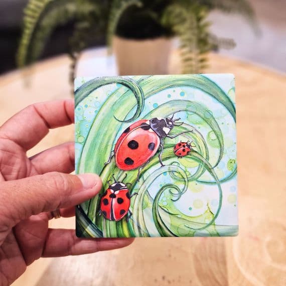 Ladybird Coaster