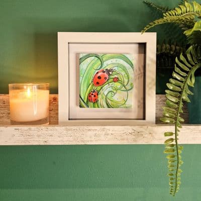 Ladybird  Small Picture