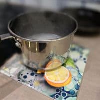 Lemon Trivet