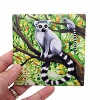 Lemur Coaster
