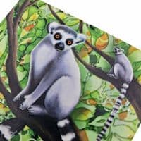 Lemur Coaster