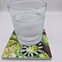 Lemur Coaster