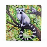 Lemur Coaster