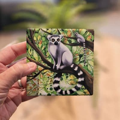 Lemur Coaster