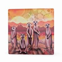 Meerkats Coaster