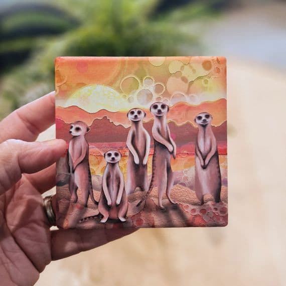Meerkats Coaster
