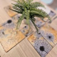 Ochre & Black Dandelion Placemat and Coaster Set (MAW)